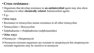 •Cross resistance:-
• Organisms that develop resistance to an antimicrobial agent may also show
resistance to other chemically related Antimicrobial agents
• E.g.-
(two way)-
• Resistance to tetracycline means resistance to all other tetracycline
• Tetracycline↔ Doxycycline
• Sulphadiazine ↔Sulphadoxine (sulphonamides)
(One way)-
Neomycin →Streptomycin
Neomycin-resistant organisms are resistant to streptomycin but streptomycin-
resistant organisms may be sensitive to neomycin
 
