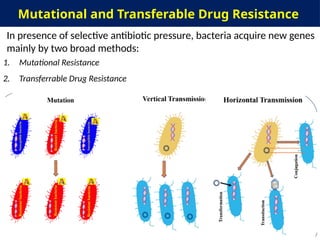 Transferable Resistance antimicrobials & resistance.pptx mechanisms | PPTX