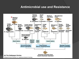 Antimicrobial use and Resistance

 
