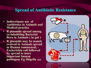 Spread of Antibiotic Resistance
• Indiscrimate use of
Antibiotics in Animals and
Medical practice
• R plasmids spread among
co-inhabiting Bacterial
flora in Animals ( in gut )
• R plasmids may be mainly
evolved in Animals spread
to Human commensal, -
Escherichia coli followed
by spread to more
important human
pathogens Eg Shigella spp.
5
 