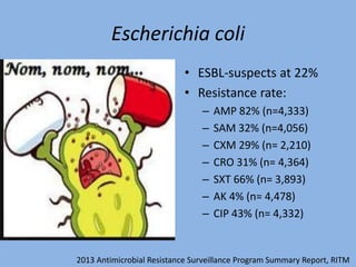Escherichia coli
• ESBL-suspects at 22%
• Resistance rate:
– AMP 82% (n=4,333)
– SAM 32% (n=4,056)
– CXM 29% (n= 2,210)
– CRO 31% (n= 4,364)
– SXT 66% (n= 3,893)
– AK 4% (n= 4,478)
– CIP 43% (n= 4,332)
2013 Antimicrobial Resistance Surveillance Program Summary Report, RITM
 