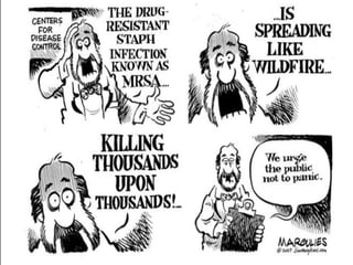 Antimicrobial Stewardship