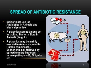 SPREAD OF ANTIBIOTIC RESISTANCE
• Indiscrimate use of
Antibiotics in Animals and
Medical practice
• R plasmids spread among co-
inhabiting Bacterial flora in
Animals ( in gut )
• R plasmids may be mainly
evolved in Animals spread to
Human commensal, -
Escherichia coli followed by
spread to more important
human pathogens Eg Shigella
spp.
DR.T.V.RAO MD 5
 