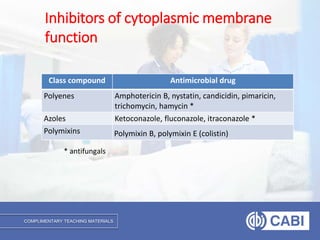 COMPLIMENTARY TEACHING MATERIALS
Class compound Antimicrobial drug
Polyenes Amphotericin B, nystatin, candicidin, pimaricin,
trichomycin, hamycin *
Azoles Ketoconazole, fluconazole, itraconazole *
Polymixins Polymixin B, polymixin E (colistin)
Inhibitors of cytoplasmic membrane
function
* antifungals
 