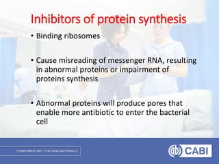 COMPLIMENTARY TEACHING MATERIALS
• Binding ribosomes
• Cause misreading of messenger RNA, resulting
in abnormal proteins or impairment of
proteins synthesis
• Abnormal proteins will produce pores that
enable more antibiotic to enter the bacterial
cell
Inhibitors of protein synthesis
 