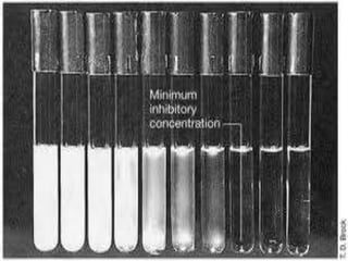 Anti microbial susceptibility testing | PPTX