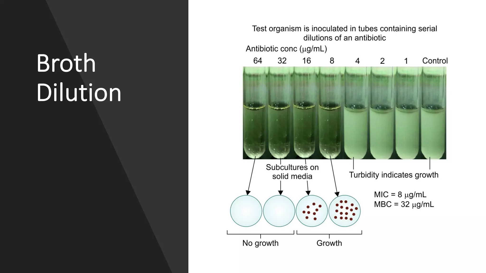 Broth
Dilution
 