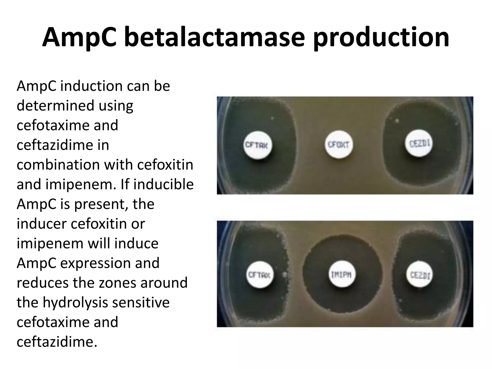 AmpC betalactamase production
AmpC induction can be
determined using
cefotaxime and
ceftazidime in
combination with cefoxitin
and imipenem. If inducible
AmpC is present, the
inducer cefoxitin or
imipenem will induce
AmpC expression and
reduces the zones around
the hydrolysis sensitive
cefotaxime and
ceftazidime.
 