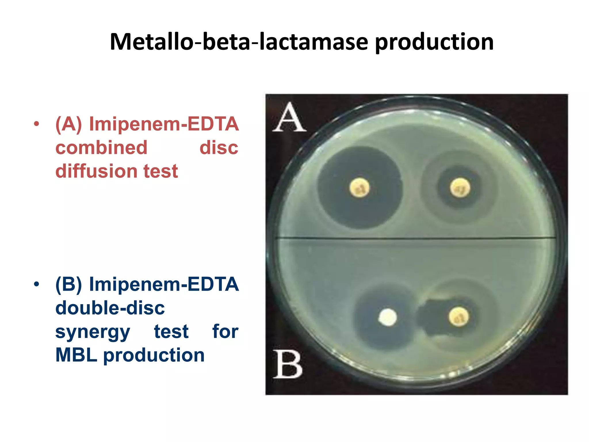 Metallo-beta-lactamase production
• (A) Imipenem-EDTA
combined disc
diffusion test
• (B) Imipenem-EDTA
double-disc
synergy test for
MBL production
 