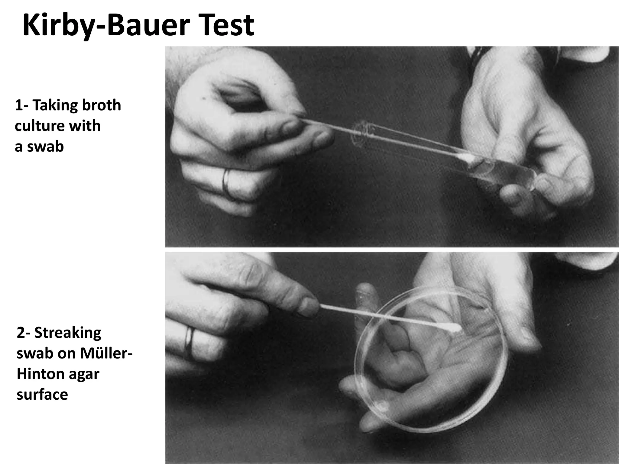 1- Taking broth
culture with
a swab
2- Streaking
swab on Müller-
Hinton agar
surface
Kirby-Bauer Test
 