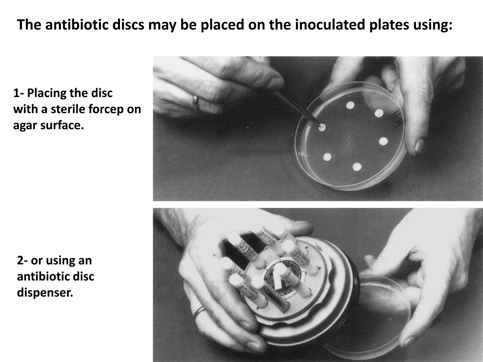 1- Placing the disc
with a sterile forcep on
agar surface.
2- or using an
antibiotic disc
dispenser.
The antibiotic discs may be placed on the inoculated plates using:
 
