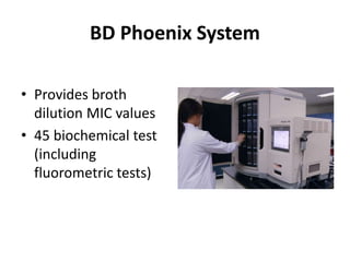 Antimicrobial susceptibility testing | PPTX