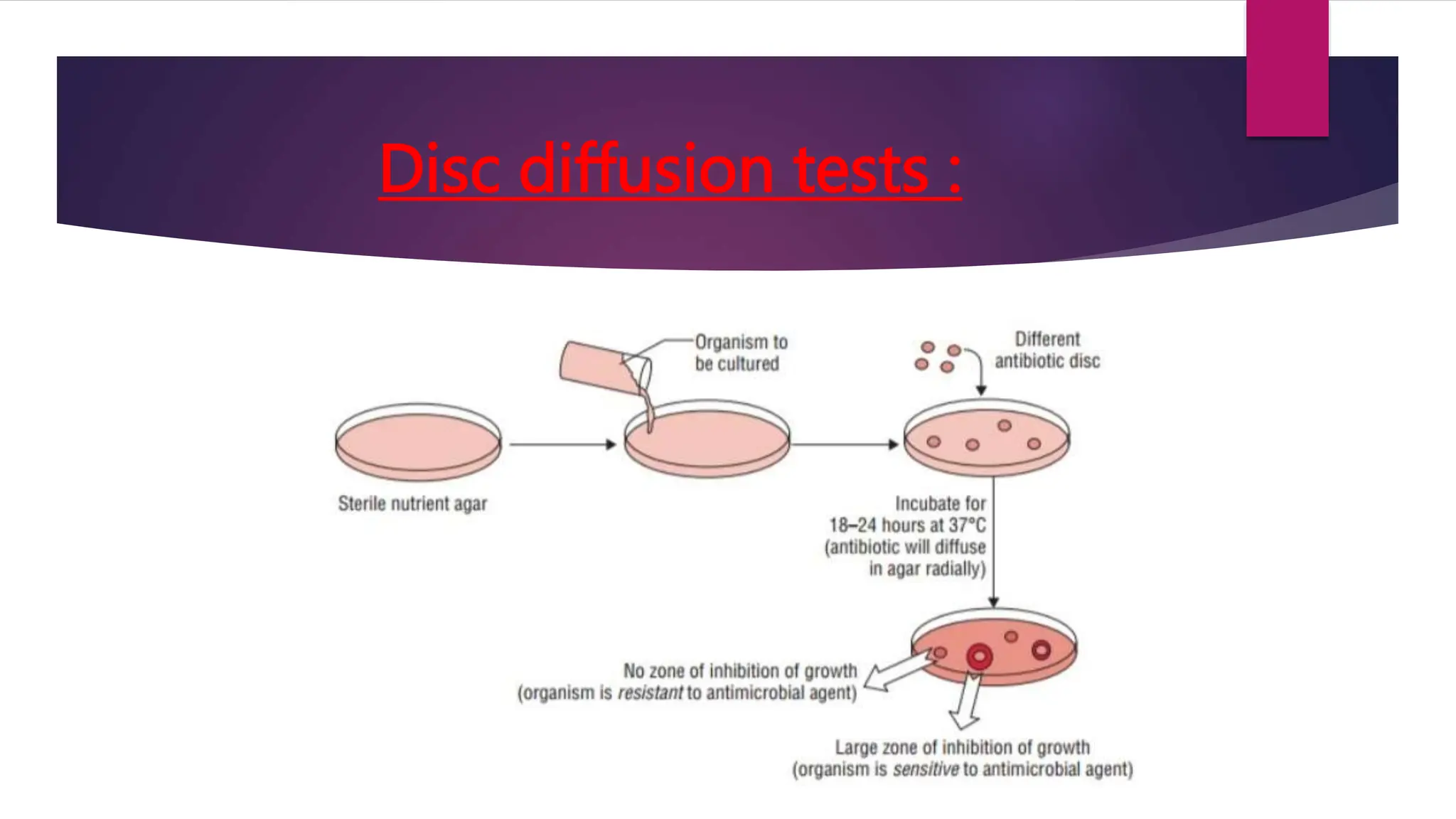 Antimicrobial Susceptibility Testing........... ppt...pptx