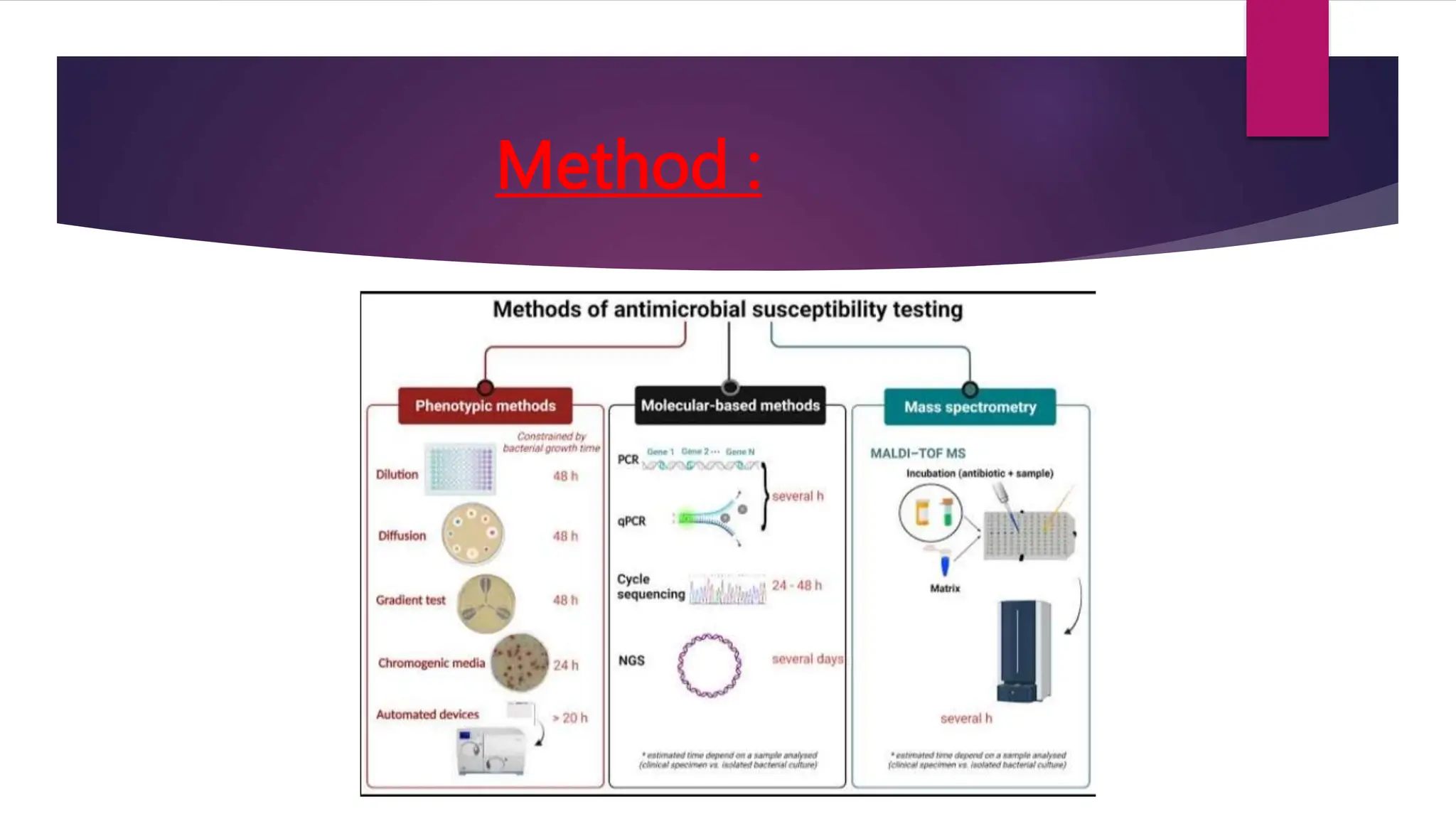 Antimicrobial Susceptibility Testing Ppt