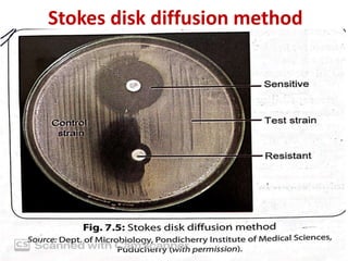 Stokes disk diffusion method
 