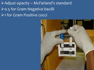 Adjust opacity – McFarland's standard
0.5 for Gram Negative bacilli
1 for Gram Positive cocci
 