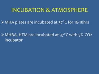 INCUBATION & ATMOSPHERE
MHA plates are incubated at 37°C for 16-18hrs
MHBA, HTM are incubated at 37°C with 5% CO2
incubator
 