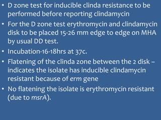 • D zone test for inducible clinda resistance to be
performed before reporting clindamycin
• For the D zone test erythromycin and clindamycin
disk to be placed 15-26 mm edge to edge on MHA
by usual DD test.
• Incubation-16-18hrs at 37c.
• Flatening of the clinda zone between the 2 disk –
indicates the isolate has inducible clindamycin
resistant because of erm gene
• No flatening the isolate is erythromycin resistant
(due to msrA).
 