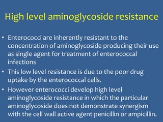 High level aminoglycoside resistance
• Enterococci are inherently resistant to the
concentration of aminoglycoside producing their use
as single agent for treatment of enterococcal
infections
• This low level resistance is due to the poor drug
uptake by the enterococcal cells.
• However enterococci develop high level
aminoglycoside resistance in which the particular
aminoglycoside does not demonstrate synergism
with the cell wall active agent penicillin or ampicillin.
 