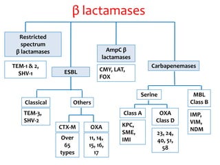 β lactamases
Restricted
spectrum
β lactamases
ESBL
AmpC β
lactamases
CTX-M OXA
Serine MBL
Class B
Class A OXA
Class D
OthersClassical
TEM-1 & 2,
SHV-1
TEM-3,
SHV-2
Over
65
types
11, 14,
15, 16,
17
CMY, LAT,
FOX
KPC,
SME,
IMI
23, 24,
40, 51,
58
Carbapenemases
IMP,
VIM,
NDM
 