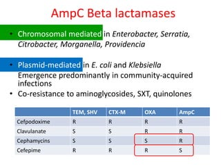 Icil
AmpC Beta lactamases
• Chromosomal mediated in Enterobacter, Serratia,
Citrobacter, Morganella, Providencia
• Plasmid-mediated in E. coli and Klebsiella
Emergence predominantly in community-acquired
infections
• Co-resistance to aminoglycosides, SXT, quinolones
TEM, SHV CTX-M OXA AmpC
Cefpodoxime R R R R
Clavulanate S S R R
Cephamycins S S S R
Cefepime R R R S
 