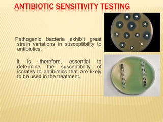 ANTIBIOTIC SENSITIVITY TESTING
Pathogenic bacteria exhibit great
strain variations in susceptibility to
antibiotics.
It is ,therefore, essential to
determine the susceptibility of
isolates to antibiotics that are likely
to be used in the treatment.
 