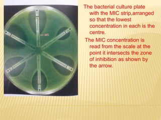 The bacterial culture plate
with the MIC strip,arranged
so that the lowest
concentration in each is the
centre.
The MIC concentration is
read from the scale at the
point it intersects the zone
of inhibition as shown by
the arrow.
 