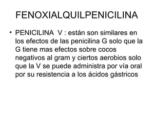 FENOXIALQUILPENICILINA
• PENICILINA V : están son similares en
  los efectos de las penicilina G solo que la
  G tiene mas efectos sobre cocos
  negativos al gram y ciertos aerobios solo
  que la V se puede administra por vía oral
  por su resistencia a los ácidos gástricos
 