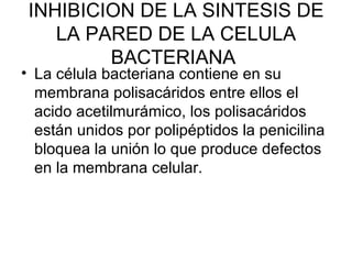 INHIBICION DE LA SINTESIS DE
    LA PARED DE LA CELULA
         BACTERIANA
• La célula bacteriana contiene en su
  membrana polisacáridos entre ellos el
  acido acetilmurámico, los polisacáridos
  están unidos por polipéptidos la penicilina
  bloquea la unión lo que produce defectos
  en la membrana celular.
 