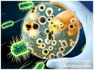 Antimicrobianos
y Antibiograma
 