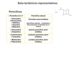 Beta-lactâmicos representativos
Penicilinas
Penicilina G e V Penicilina natural
Cloxacilina
Dicloxacilina
Nafcilina
Oxacilina
Meticilina
Penicilina semi-sintética
(penicilinas estáveis – resistentes à
beta lactamases produzidas por S.
aureus)
Amoxicilina
Ampicilina
(amino) penicilina semi-
sintética
Carbenicilina
Ticarcilina
(carboxi) penicilina semi-
sintética
Mezlocilina
Piperacilina
(ureído) penicilina semi-
sintética
 