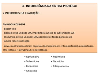3 - INTERFERÊNCIA NA SÍNTESE PROTÉICA:
• INIBIDORES DA TRADUÇÃO
AMINOGLICOSÍDEOS
- Bactericida
- Ligação a sub-unidade 30S impedindo a junção da sub-unidade 50S
- O acúmulo de sub-unidades 30S aberrantes é tóxico para a célula
- Amplo espectro de ação
- Ativos contra bacilos Gram negativos (principalmente enterobactérias) micobactérias,
enterococos, P. aeruginosa e estafilococos.
• Gentamicina
• Trobamicina
• Canamicina
• Amicacina
• Netilmicina
• Neomicina
• Estreptomicina
 
