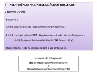 4 - INTERFERÊNCIA NA SÍNTESE DE ÁCIDOS NUCLÉICOS:
• NOVOBIOCINA
- Bactericida
- Amplo espectro de ação (especialmente Gram positivos)
- Inibição da replicação do DNA - Ligação à sub-unidade beta das DNA girases
- inibição do enrolamento das fitas de DNA (supercoiling)
- Uso: em testes - não há indicações para o uso terapêutico
separação de linhagens de:
Staphylococcus epidermides (sensível)
e
Staphylococcus saprophyticus (resistente)
 