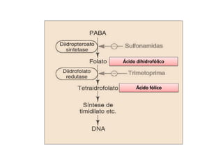 Ácido dihidrofólico
Ácido fólico
 