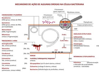 CROMOSSOMO E PLASMÍDIO
Novobiocina
(DNA-girase, síntese de DNA)
Quinolonas
(DNA-girase, síntese de DNA,
permeabilidade)
Metronidazol
(DNA, fragmentação)
Mitomicina (DNA,
síntese e fragmentação)
RIBOSSOMOS E mRNA
Aminoglicosídio (Rib.
30s, síntese protéica)
Tetraciclina (Rib. 30s,
síntese protéica)
Clorafenicol (Rib. 50s,
síntese protéica)
Eritromicina (Rib.
50s, síntese protéica)
Lincomicina (Rib.
50s, síntese protéica)
Rifamicina (RNA-
polimerases, síntese mRNA)
PAREDE
Penicilina, Cefalosporina, Imipenem (PBP,
síntese)
Glicopeptídeos (acil-D-alanil-alanina, síntese)
Cicloserina (análogo D-alanina, síntese)
Bacitracina (Defosforilação do pirofosfato, síntese)
PBP
MEMBRANA CITOPLASMÁTICA
Polimixina (desestruturação
e alteração das propriedades
osmóticas - toxicidade)
PABA
Ácido fólico
(FH4)
ANÁLOGOS ESTRUTURAIS
Sulfonamida
(Dihidropteroato-sintetase,
inibe a reação)
Trimetropim
(Dihidrofolato redutase, inibe
a reação)
PBP
Membrana externa
Porina
ß-lactamases
(gram negativas)
Peptoglicano
Espaço periplasmático
ß-lactamases
(gram positivas)
MECANISMO DE AÇÃO DE ALGUMAS DROGAS NA CÉLULA BACTERIANA
 