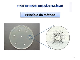 36
TESTE DE DISCO DIFUSÃO EM ÁGAR
Princípio do método
 