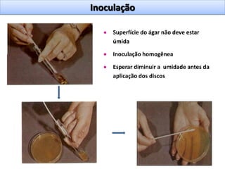 44
Inoculação
Superfície do ágar não deve estar
úmida
Inoculação homogênea
Esperar diminuir a umidade antes da
aplicação dos discos
 