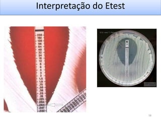 58
Interpretação do Etest
 