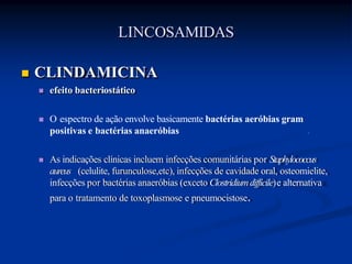  CLINDAMICINA
 efeito bacteriostático
 O espectro de ação envolve basicamente bactérias aeróbias gram
positivas e bactérias anaeróbias
 As indicações clínicas incluem infecções comunitárias por Staphylococcus
aureus (celulite, furunculose,etc), infecções de cavidade oral, osteomielite,
infecções por bactérias anaeróbias (exceto Clostridiumdifficile)e alternativa
para o tratamento de toxoplasmose e pneumocistose.
LINCOSAMIDAS
 