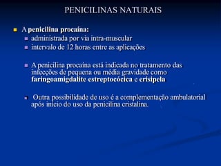 PENICILINAS NATURAIS
 Apenicilina procaína:
 administrada por via intra-muscular
 intervalo de 12 horas entre as aplicações
 Apenicilina procaína está indicada no tratamento das
infecções de pequena ou média gravidade como
faringoamigdalite estreptocócica e erisipela
 Outra possibilidade de uso é a complementação ambulatorial
após início do uso da penicilina cristalina.
 
