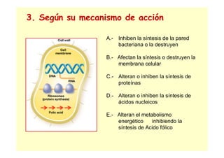3. Según su mecanismo de acción
A.- Inhiben la síntesis de la pared
bacteriana o la destruyen
B.- Afectan la síntesis o destruyen la
membrana celular
C.- Alteran o inhiben la síntesis de
proteínas
D.- Alteran o inhiben la síntesis de
ácidos nucleicos
E.- Alteran el metabolismo
energético inhibiendo la
síntesis de Acido fólico
 