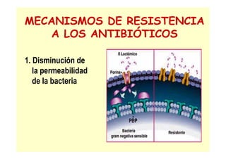 MECANISMOS DE RESISTENCIA
A LOS ANTIBIÓTICOS
1. Disminución de
la permeabilidad
de la bacteria
 