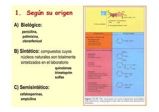 1. Según su origen
A) Biológico:
penicilina,
polimixina,
cloranfenicol
B) Sintético: compuestos cuyos
núcleos naturales son totalmente
sintetizados en el laboratorio
quinolonas
trimetoprim
sulfas
C) Semisintético:
cefalosporinas,
ampicilina
 