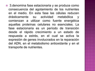 3.denomina fase estacionaria y se produce como
consecuencia del agotamiento de los nutrientes
en el medio. En esta fase las células reducen
drásticamente su actividad metabólica y
comienzan a utilizar como fuente energética
aquellas proteínas celulares no esenciales. La
fase estacionaria es un período de transición
desde el rápido crecimiento a un estado de
respuesta a estrés, en el cual se activa la
expresión de genes involucrados en la reparación
del ADN, en el metabolismo antioxidante y en el
transporte de nutrientes.
 