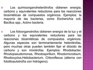  Los quimioorganoheterótrofos obtienen energía,
carbono y equivalentes reductores para las reacciones
biosintéticas de compuestos orgánicos. Ejemplos: la
mayoría de las bacterias, como Escherichia coli,
Bacillus spp., Actino bacteria.
 Los fotoorganotrofos obtienen energía de la luz y el
carbono y los equivalentes reductores para las
reacciones biosintéticas de compuestos orgánicos.
Algunas especies son terminantemente heterótrofas,
pero muchas otras pueden también fijar el dióxido de
carbono y son mixótrofas. Ejemplos: Rhodobacter,
Rhodopseudomonas, Rhodospirillum, Rhodomicrobium,
Rhodocyclus,Heliobacterium, Chloroflexus (alterna con
fotolitoautotrofía con hidrógeno).
 