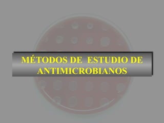 MÉTODOS DE ESTUDIO DE
  ANTIMICROBIANOS
 