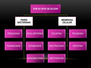 POR SU SITIO DE ACCION



           PARED                               MENBRANA
         BACTERIANA                             CELULAR



PENICILINAS    CEFALOSPORINA          COLISTINA       POLIMIXINA




TENIAMICINAS     CEFAMICINAS        BACITRACINAS      NISTATINA




                MONOBACTANS         ANFOTERICINA
 