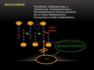 BETALACTAMICOS
                 Penicilinas, Cefalosporinas, y
                 Cefamicinas, Carbapenémicos y
                 Monobactamas en común presencia
                 de un enlace Betalactámico
                 incorporado al anillo betalactámico.


                              ENLACE
                             PEPTÍDICO




                                         BETALACTÁMICO


                          PBPs
 