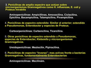 3. Penicilinas de amplio espectro que actúan sobre
microorganismos Gramnegativos como H. influenzae, E. coli y
Proteus mirabilis

   Aminopenicilinas: Ampicillinas, Amoxacilina, Ciclacilina,
   Epicilina, Bacampicilina, Talampicilina, Pivampicilina.

4. Penicilinas de espectro extendido: Similar al anterior; extendido
a Pseudomonas, Enterobacter y especies de Proteus.

   Carboxipenicilinas: Carbencilina, Ticarcilina.

5. Otras penicilinas de espectro extendido a Pseudomonas,
especies de Enterobacter, Klebsiella y microorganismos
Gramnegativos.

   Ureidopenicilinas: Mezlocilin, Pipiracilina.

6. Penicilinas de espectro “Inverso”: mas activas frente a bacterias
Gramnegativas, fundamentalmente Enterobacterias

   Aminopenicilinas: Mecilinám.
 