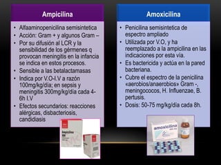 Ampicilina                            Amoxicilina
• Alfaaminopenicilina semisintetica    • Penicilina semisintetica de
• Acción: Gram + y algunos Gram –        espectro ampliado
• Por su difusión al LCR y la          • Utilizada por V.O, y ha
  sensibilidad de los gérmenes q         reemplazado a la ampicilina en las
  provocan meningitis en la infancia     indicaciones por esta vía.
  se indica en estos procesos.         • Es bactericida y actúa en la pared
• Sensible a las betalactamasas          bacteriana.
• Indica por V.O-I.V a razón           • Cubre el espectro de la penicilina
  100mg/kg/día; en sepsis y              «aerobios/anaerobios» Gram -,
  meningitis 300mg/kg/día cada 4-        meningococos, H. Influenzae, B.
  6h I.V                                 pertusis.
• Efectos secundarios: reacciones      • Dosis: 50-75 mg/kg/día cada 8h.
  alérgicas, disbacteriosis,
  candidiasis
 